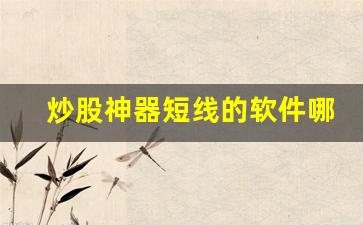 炒股神器短线的软件哪个最好(炒股短线赚钱)_https://www.luoxuangg888.com_北交所_第1张
