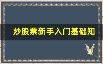 炒股票新手入门基础知识(1万炒股一年最多挣多少)_https://www.eamstsz.com_上交所_第1张