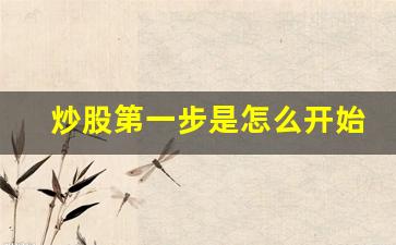 炒股第一步是怎么开始的(炒股第一步先学什么)_https://www.dcjwmf.com_郑商所_第1张