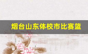 山东烟台体育-烟台山东体校市比赛篮球