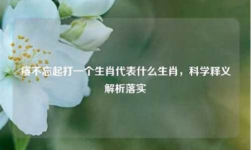 烦躁生肖代表什么生肖动物_烦躁生肖代表什么生肖