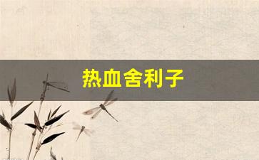 热血舍利子(电影舍利子) (3)