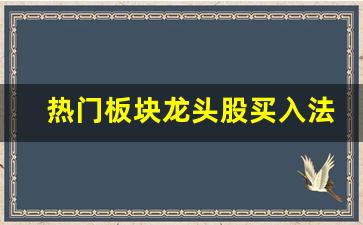 热门板块龙头股买入法(龙头股回调买入法)_https://www.wguangz.com_郑商所_第1张