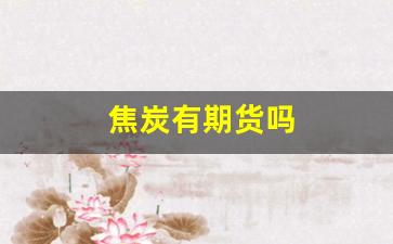 焦炭有期货吗(焦炭有期货吗现在)_https://www.xzdzcjn.com_北交所_第1张