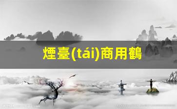 煙臺(tái)商用鶴管生產(chǎn)廠(chǎng)家(濱州專(zhuān)業(yè)上裝鶴管廠(chǎng)家)(1)