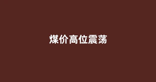 煤价高位震荡(煤价走高)_https://www.lclxwz.com_广期所_第1张