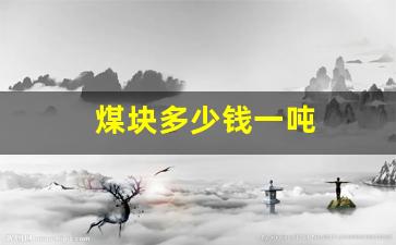 煤块多少钱一吨(煤块多少钱一吨2023年)_https://www.wanyuyiyao.com_北交所_第1张