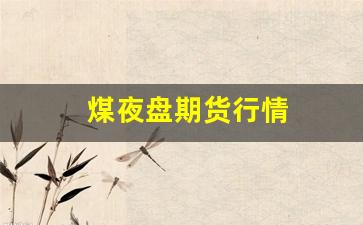 煤夜盘期货行情(煤期货走势图)_https://www.qldgs.com_期货_第1张