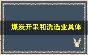 煤炭开采和洗选业具体指什么_https://www.wanyuyiyao.com_上交所_第1张