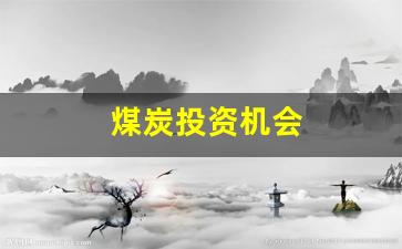 煤炭投资机会(煤炭投资前景)_https://www.dongshengweixin.com_创业板_第1张