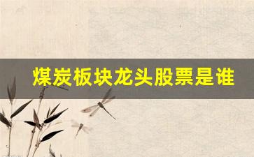 煤炭板块龙头股票是谁(煤炭板块龙头股票是谁买的)_https://www.wguangz.com_广期所_第1张