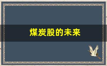 煤炭股的未来(煤炭股未来估值)_https://www.hangfeite.com_上交所_第1张