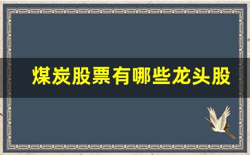 煤炭股票有哪些龙头股2022(煤炭股票有哪些龙头股份)_https://www.hhem8.com_科创板_第1张