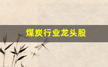 煤炭行业龙头股(煤炭行业龙头股票一览表)_https://www.hangfeite.com_深交所_第1张