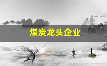 煤炭龙头企业(煤炭龙头企业排名前十)_https://www.hn-life.com_深交所_第1张