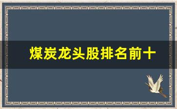煤炭龙头股排名前十(煤炭龙头股排名前十名)_https://www.wanyuyiyao.com_北交所_第1张