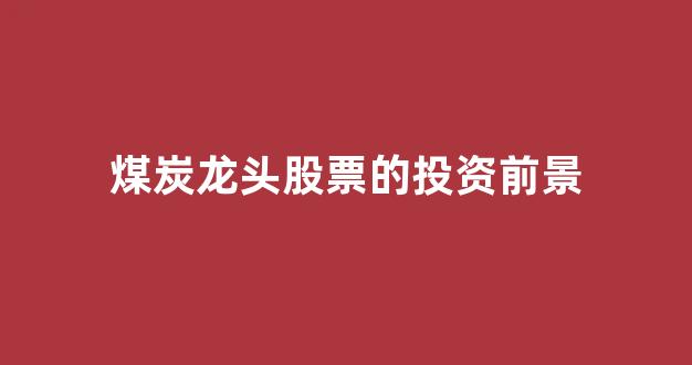 煤炭龙头股票的投资前景(煤炭龙头股票的投资前景如何)_https://www.wanyuyiyao.com_北交所_第1张