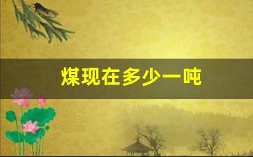 煤现在多少一吨(煤现在多少钱一吨了)_https://www.hhem8.com_上交所_第1张