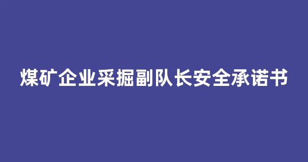煤矿企业采掘副队长安全承诺书(煤矿综采队队长安全承诺书)_https://www.eamstsz.com_科创板_第1张