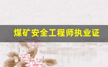 煤矿安全工程师执业证有什么作用(煤矿安全工程师待遇)_https://www.eamstsz.com_科创板_第1张