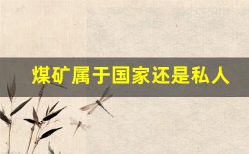 煤矿属于国家还是私人(煤矿属于谁所有)_https://www.hhem8.com_深交所_第1张