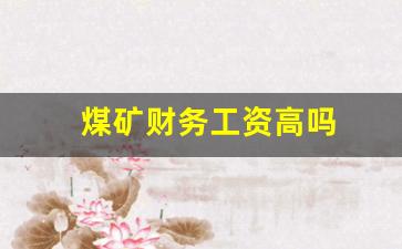 煤矿财务工资高吗(为什么财务工资高)_https://www.hangfeite.com_北交所_第1张