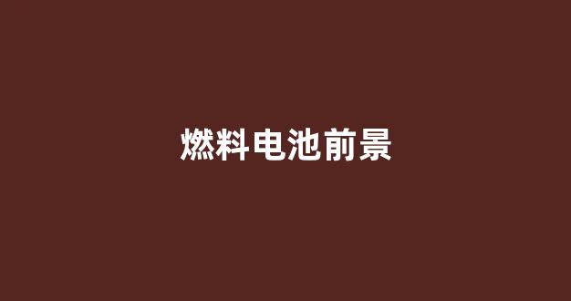 燃料电池前景(燃料电池前景 知乎)_https://www.taocizhiliang.com_设计报价_第1张