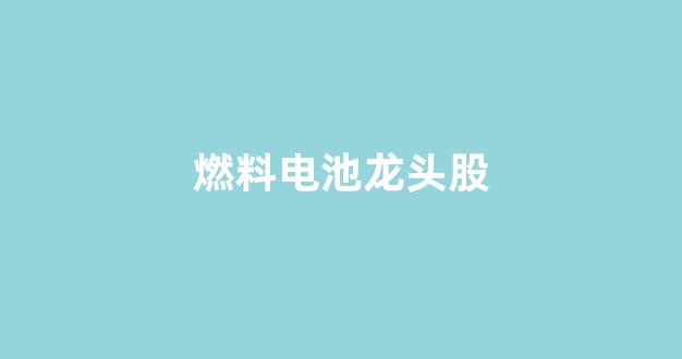 燃料电池龙头股(氢能源燃料电池龙头股)_https://www.taocizhiliang.com_设计报价_第1张