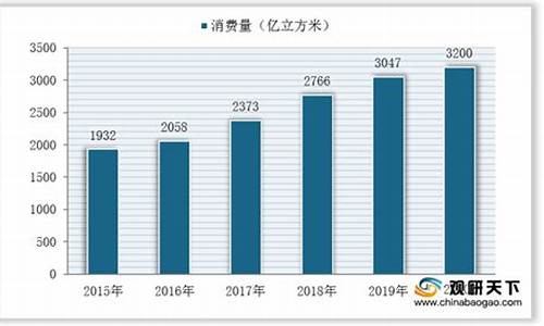 燃气信息化市场调研总结报告范文_燃气市场