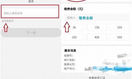 燃气信息查询怎么查信息内容明细呢_燃气信