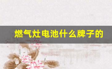 燃气灶电池什么牌子的好(燃气灶电池什么牌子的好用)_https://www.nalian8.com_创业板_第1张