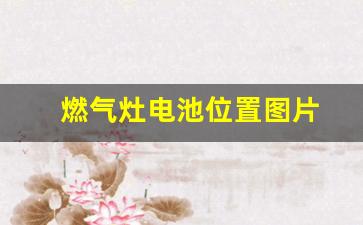 燃气灶电池位置图片(燃气灶电池位置图片视频)_https://www.hhem8.com_北交所_第1张