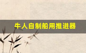 牛人自制船用推进器(自制小船推进器)_https://www.taocizhiliang.com_效果图_第1张