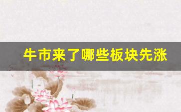 牛市来了哪些板块先涨(牛市来了什么板块先涨)_https://www.heiljjianzu.com_上交所_第1张