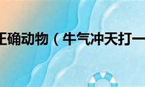 牛气冲天打一生肖谜底是什么_牛气冲天,打