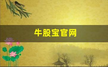 牛股宝官网(牛股宝是什么东西啊)_https://www.heiljjianzu.com_北交所_第1张