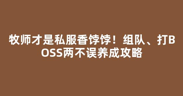 牧师才是私服香饽饽！组队、打BOSS两不误养成攻略