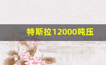特斯拉12000吨压铸机(特斯拉12000吨压铸机造价)_https://www.syklpowerbike.com_科创板_第19张