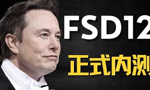 特斯拉fsd是什么时候研发的啊,特斯拉fsd技术