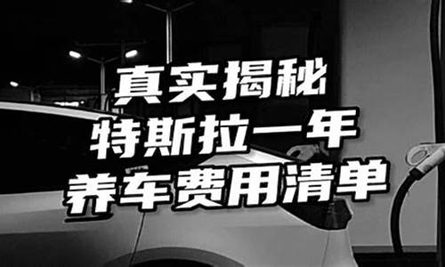 特斯拉一年养车费用,特斯拉一年养车费用大概多少