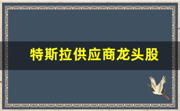 特斯拉供应商龙头股(特斯拉主要供应商股票)_https://www.nalian8.com_创业板_第1张
