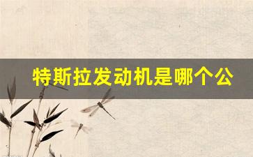 特斯拉发动机是哪个公司生产的(特斯拉发明的发动机)_https://www.dongshengweixin.com_创业板_第1张