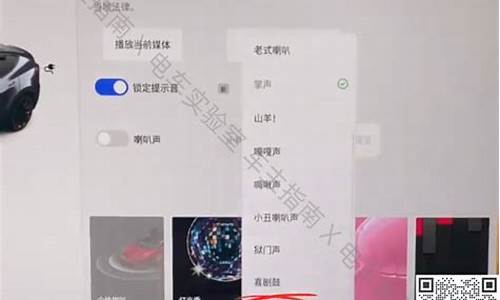 特斯拉改锁车声音怎么设置,特斯拉车门锁设置