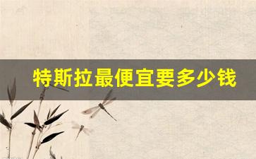 特斯拉最便宜要多少钱(特斯拉最便宜要多少钱一台)_https://www.taocizhiliang.com_设计报价_第1张