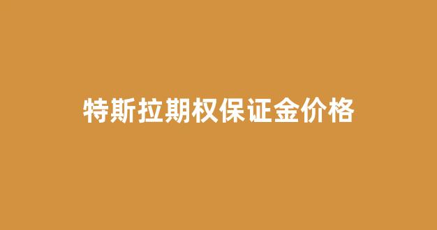 特斯拉期权保证金价格_特斯拉期权保证金价格