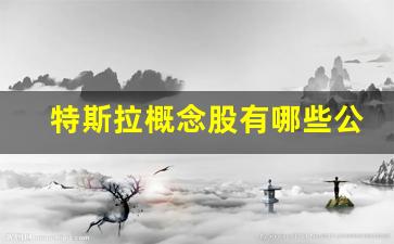 特斯拉概念股有哪些公司(特斯拉机器人概念股有哪些)_https://www.hn-life.com_上交所_第1张