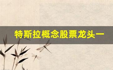 特斯拉概念股票龙头一览表(特斯拉概念龙头股600480)_https://www.hhem8.com_科创板_第1张