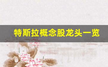 特斯拉概念股龙头一览(特斯拉概念股11家)_https://www.jumanxin.com_深交所_第1张