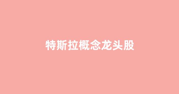 特斯拉概念龙头股(特斯拉概念龙头股票)_https://www.taocizhiliang.com_装修流程_第1张