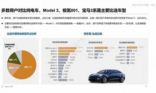 特斯拉消费群体的背景特征与消费特征_特斯拉消费群体